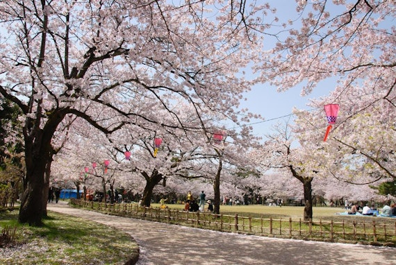 高岡古城公園