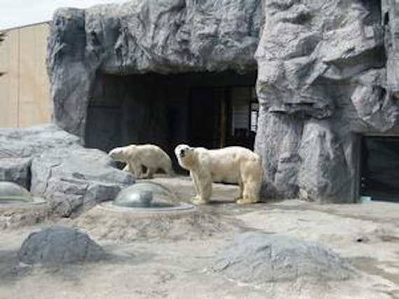 旭山動物園