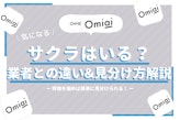 Omiaiにサクラはいないが業者はいる！特徴や見分け方を徹底解説 